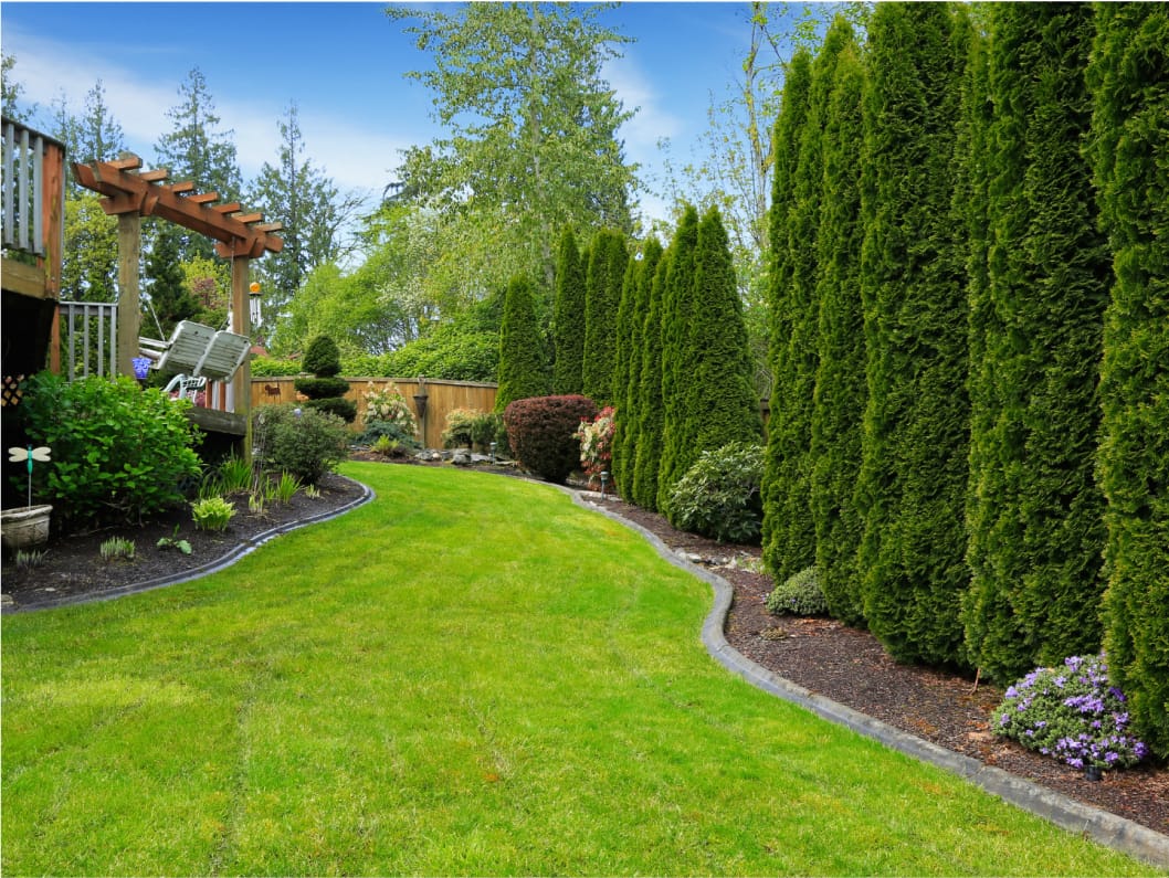 Landscape Construction1